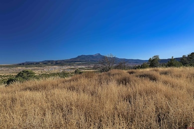 15311 Rancho Verde Rd, Trinidad, CO 81082 - photo 4