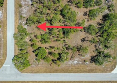 27031 Capistrano Dr, Punta Gorda, FL 33955 - photo 3