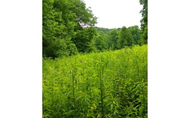 000 Big Creek Rd, Ellijay, GA 30540 - photo 7