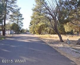 1000 E Reidhead, Show Low, AZ 85901 - photo 2