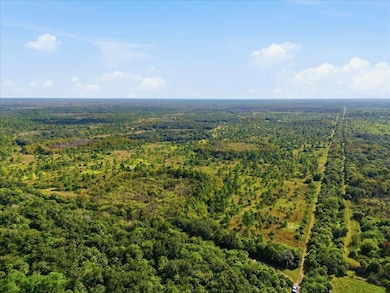 22305 Shoults Gr, Immokalee, FL 34142 - photo 5