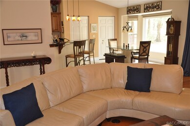 10100 SW 206th Court Rd, Dunnellon, FL 34431 - photo 5