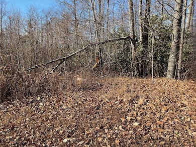 TBD W Pheasant Chase, Fancy Gap, VA 24053 - photo 2