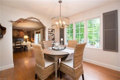 880 Mustang Pass, Aurora, OH 44202 - photo 7