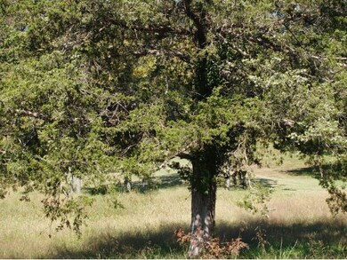 0 Water Wheel Ln, Ruth B Rural Township, MO 65686 - photo 4