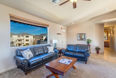 Living Room Window