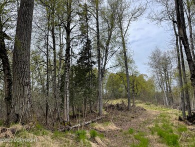 Trail from the road