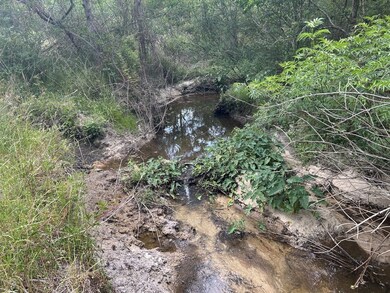 TBD NW County Road 274, Altha, FL 32421 - photo 5