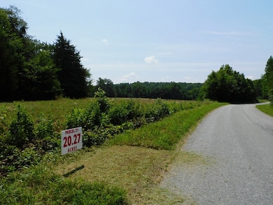 20.27 AC Lloyds Mill Rd, Clover, VA 24534 - photo 3