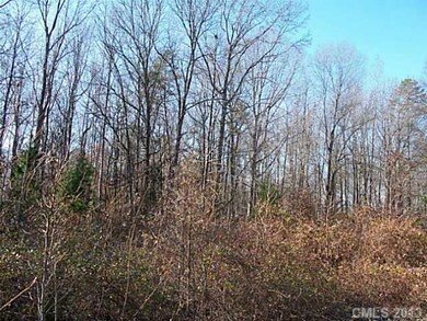 Land/Lot - Another view