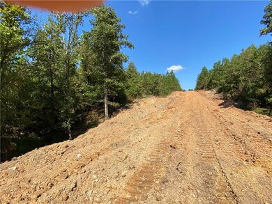 96 Limp Limb Ct, Broken Bow, OK 74728 - photo 3