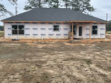 1439 W Union Rd, Picayune, MS 39466 - photo 2