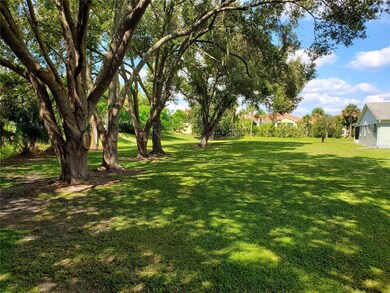 West side, oak trees