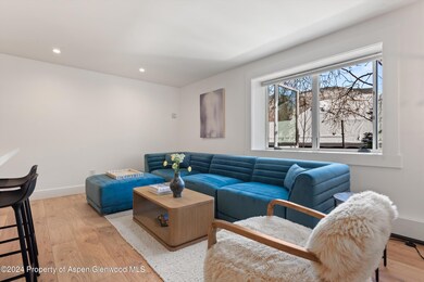 119 E Cooper Ave unit 26, Aspen, CO 81611 - photo 7