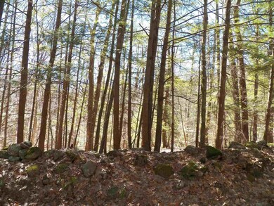 85-5-0 Cobble Hill Rd, Swanzey, NH 03446 - photo 6