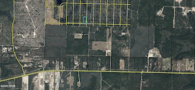 TBD Hwy 20 Rd, Youngstown, FL 32466 - photo 2