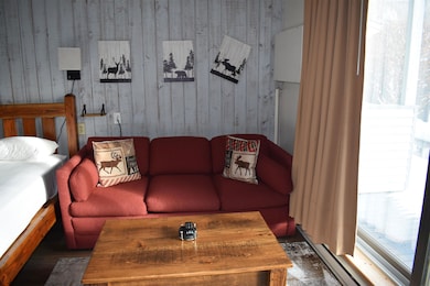 15 Hakone at Smugglers Notch Resort unit 15, Cambridge, VT 05464 - photo 6