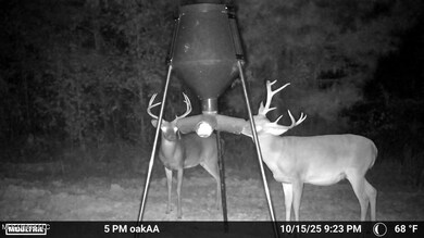 0 County Road 4210, Sallis, MS 39160 - photo 4