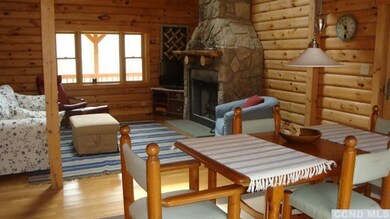 345 County Route 40, Maplecrest, NY 12454 - photo 7