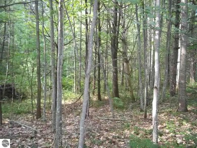 00 N Baldwin Resort Rd unit 1, East Tawas, MI 48730 - photo 7