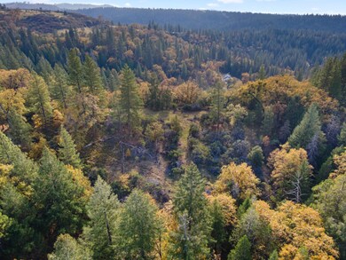 0 Starkes Grade Rd unit 225143998, Pollock Pines, CA 95726 - photo 3