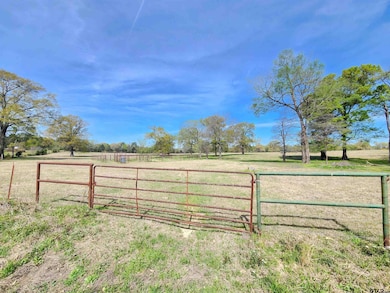 LOT 2 Nandena Rd, Gilmer, TX 75644 - photo 4