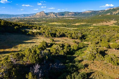 28429 H 4 Rd, Cahone, CO 81320 - photo 5