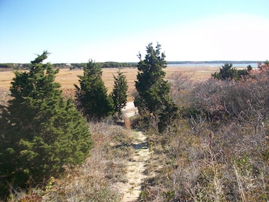 TRAIL TO RIGHT T OF PROPERTY