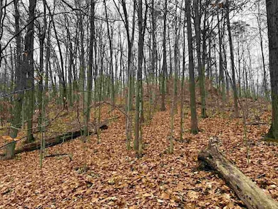 Lot 57 Valley Run Rd unit 57, Custer Township, MI 49615 - photo 4