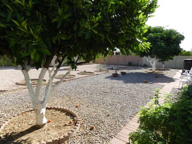 BACK YARD