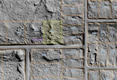Bare Earth