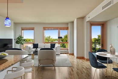 4201 Sunset Dr unit N407, Spring Park, MN 55384 - photo 2