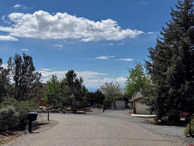 Lot 10 NE Ginters Grove Ln, Cedaredge, CO 81413 - photo 4