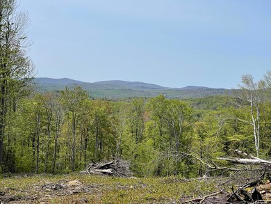 0 White Rd unit 4964384, Readsboro, VT 05350 - photo 2