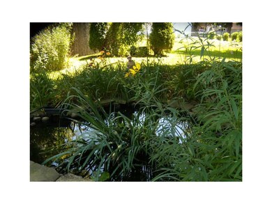 Pond.