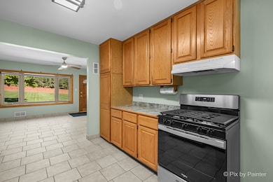 10321 5th Avenue Cutoff, Countryside, IL 60525 - photo 6