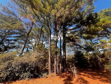 411 Laura Ln, Bastrop, TX 78602 - photo 2