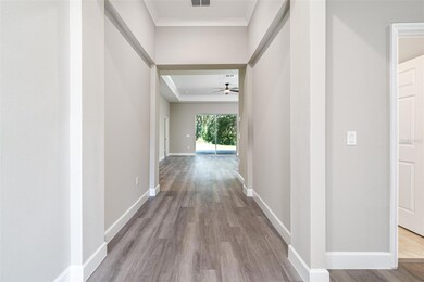 30242 Bretton Loop, Mount Dora, FL 32757 - photo 6