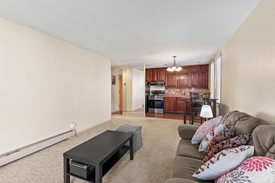 4040 15th Ave S unit 10H, Minneapolis, MN 55407 - photo 6