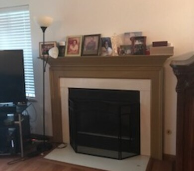 Living room fireplace