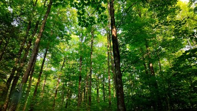 Lot 9 Tower Rd, Crandon, WI 54520 - photo 6