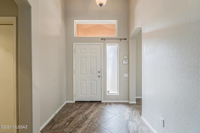 Sand Dollar-6