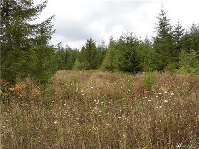 14008 Rainier View Dr SE, Yelm, WA 98597 - photo 2