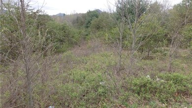 17 Chapel Hill Place unit 38, Leicester, NC 28748 - photo 5