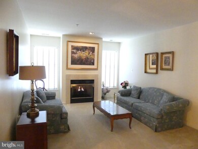 4600 Alcott Way unit 101, Owings Mills, MD 21117 - photo 6