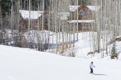 Ski in/Ski out