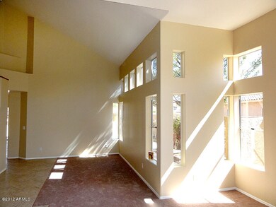 Living Room Windows