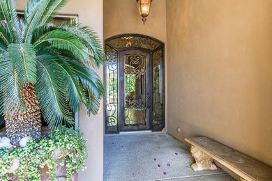 Custom Iron front door