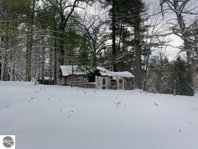9463 E Pomeroy Springs Rd, Irons, MI 49644 - photo 5