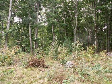 Land.